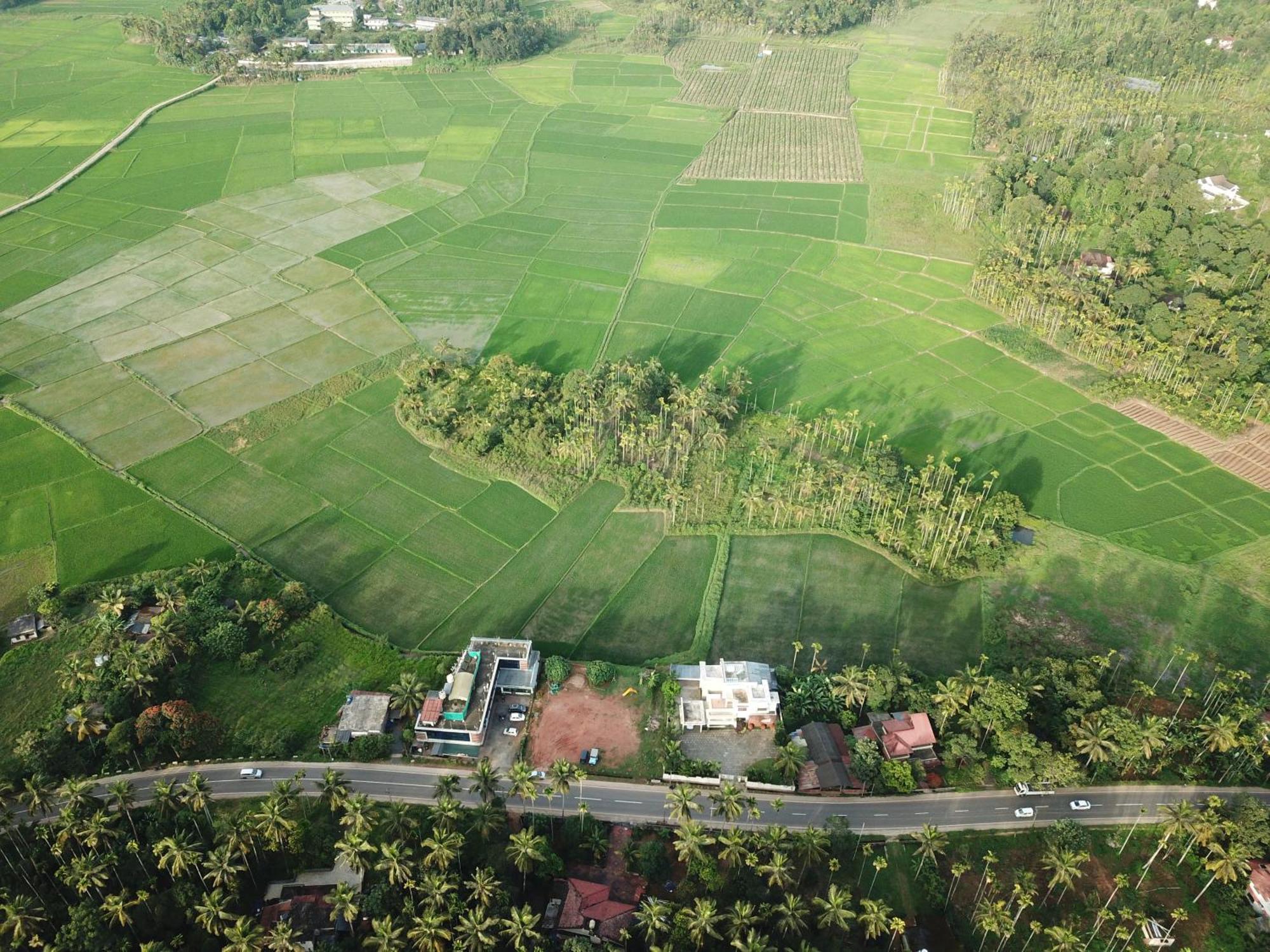 Paddyfield Inn Mananthavady Exterior foto