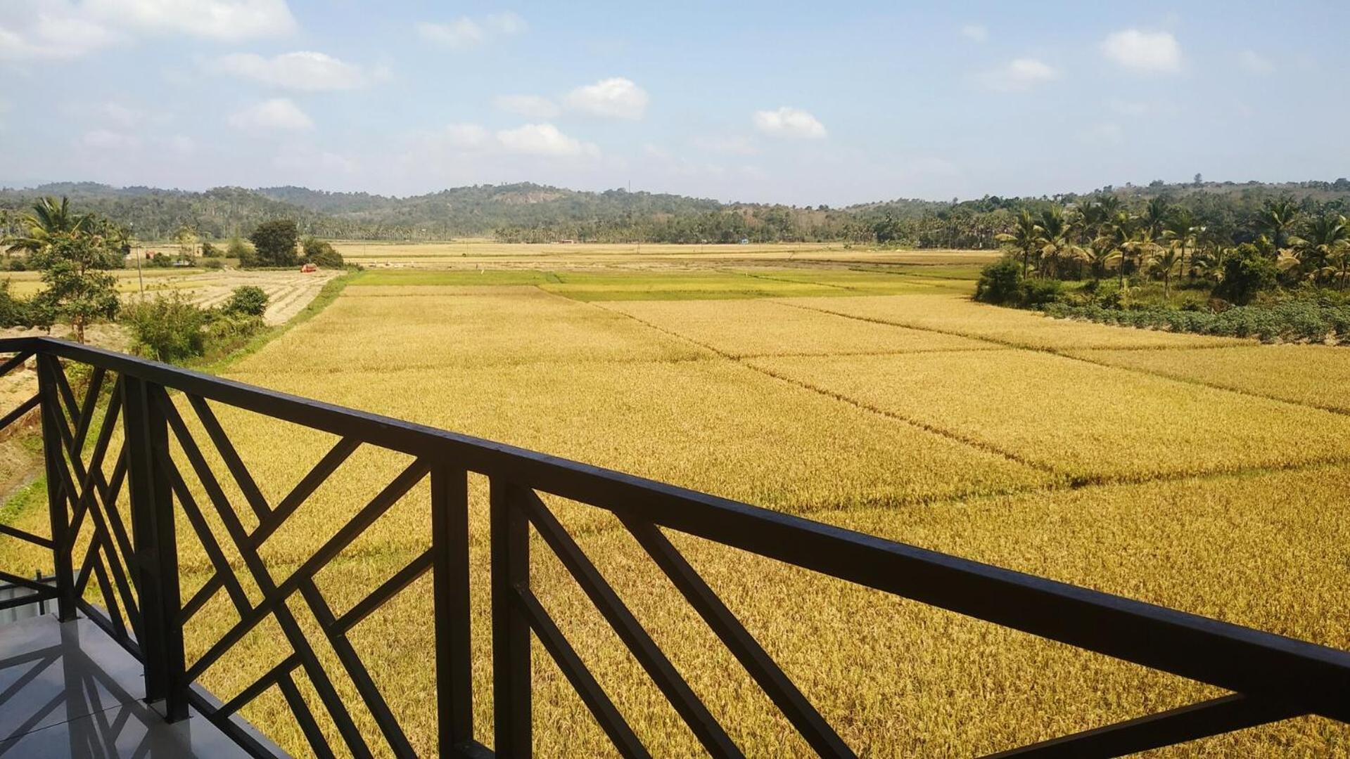 Paddyfield Inn Mananthavady Exterior foto
